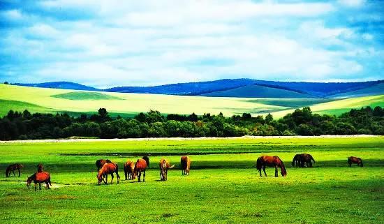 草原王国，内蒙古的生态与文化交响