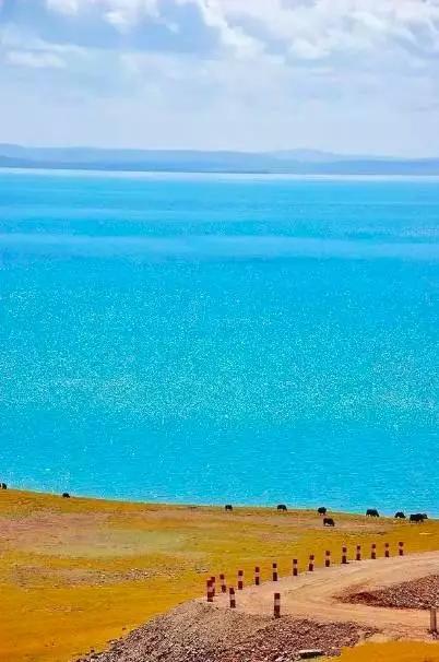 高原绿韵，青海绿色发展新篇章