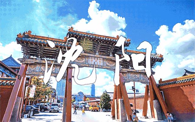 沈阳美食攻略,学习烹饪东北美食的详细步骤指南