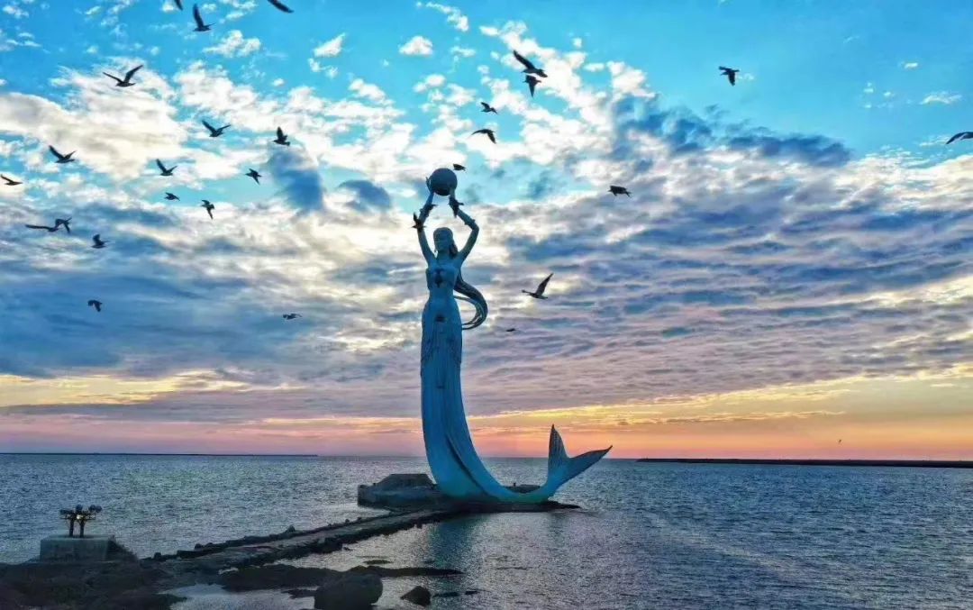 营口盛会，致敬嘉宾与观众朋友们