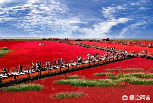 盘锦,湿地之都,自然与人文的和谐交响之旅