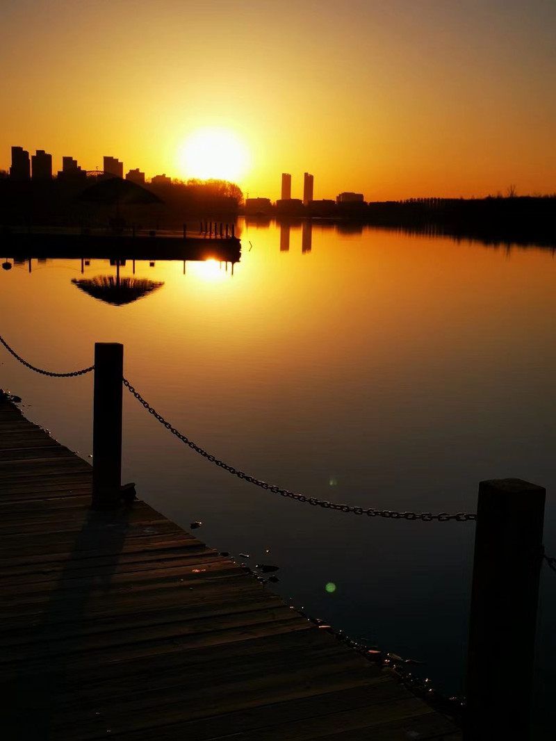 朝阳之光,探寻朝阳的魅力