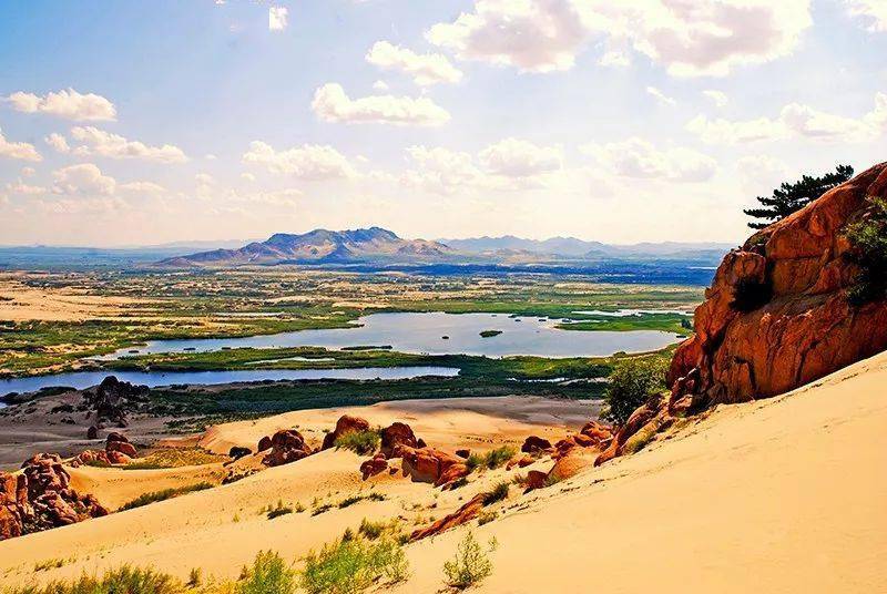 赤峰盛会,尊敬的领导与朋友们共聚一堂